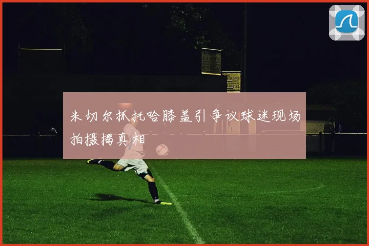 米切尔抓托哈膝盖引争议球迷现场拍摄揭真相