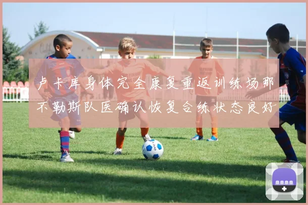 卢卡库身体完全康复重返训练场那不勒斯队医确认恢复合练状态良好