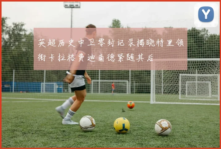 英超历史中卫零封记录揭晓特里领衔卡拉格费迪南德紧随其后