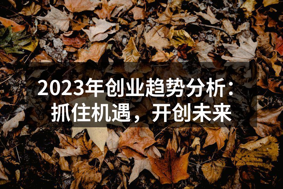 数字化转型助力创业成功