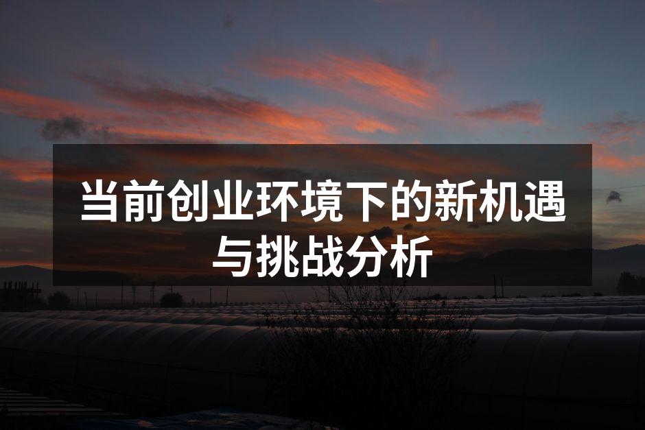 创业者在讨论新的商业模式