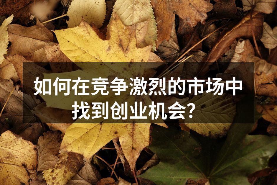 如何在竞争激烈的市场中找到创业机会？