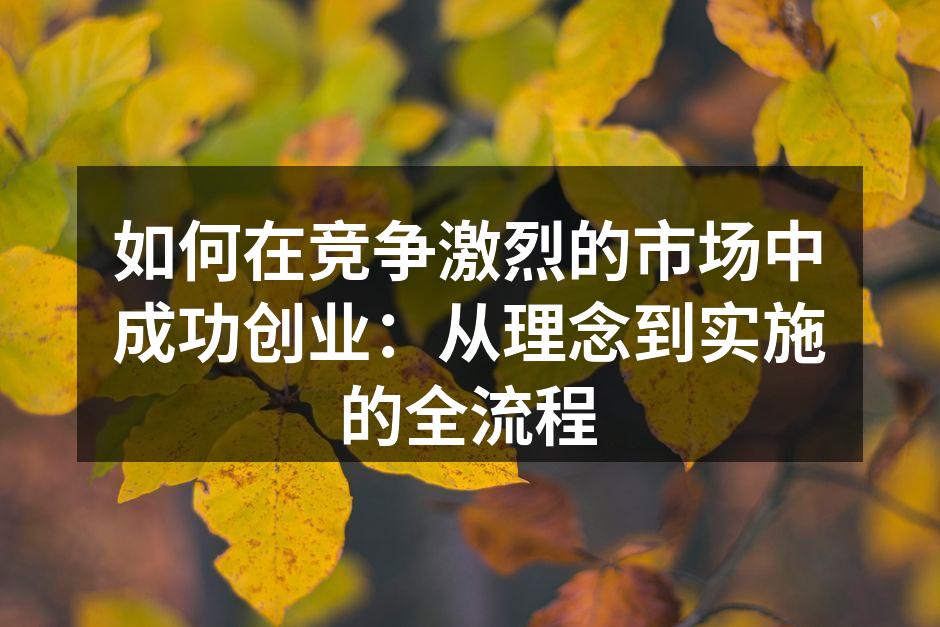 如何在竞争激烈的市场中成功创业：从理念到实施的全流程