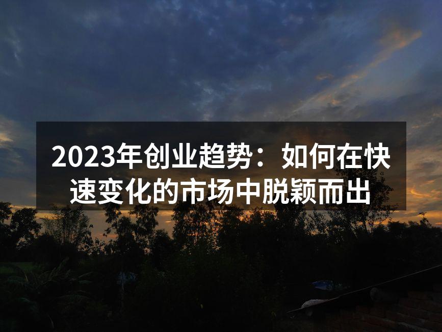 2023年创业趋势：如何在快速变化的市场中脱颖而出